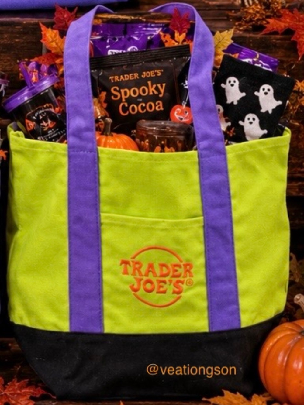 Trader Joeβs 2026 Halloween Trick or Treat Canvas Mini Tote Bag Green Purple